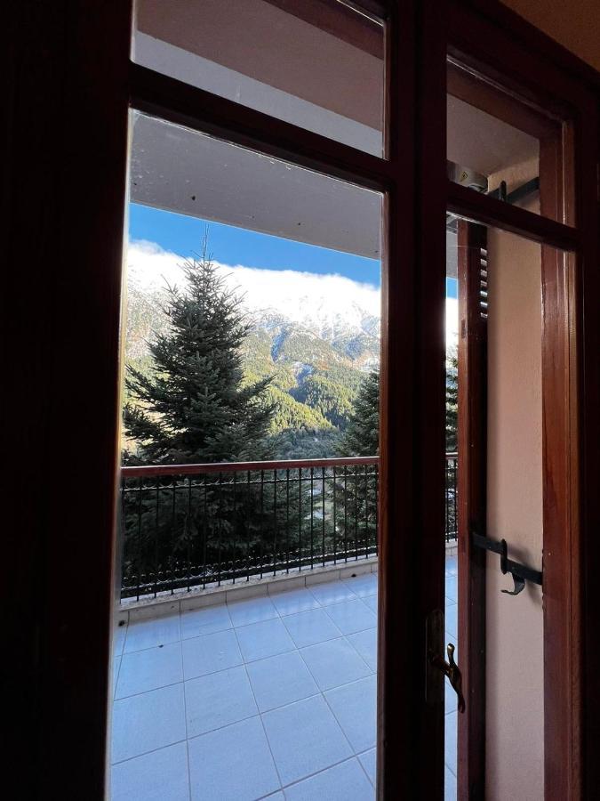 4 Seasons Tzoumerka Senses Holiday home *